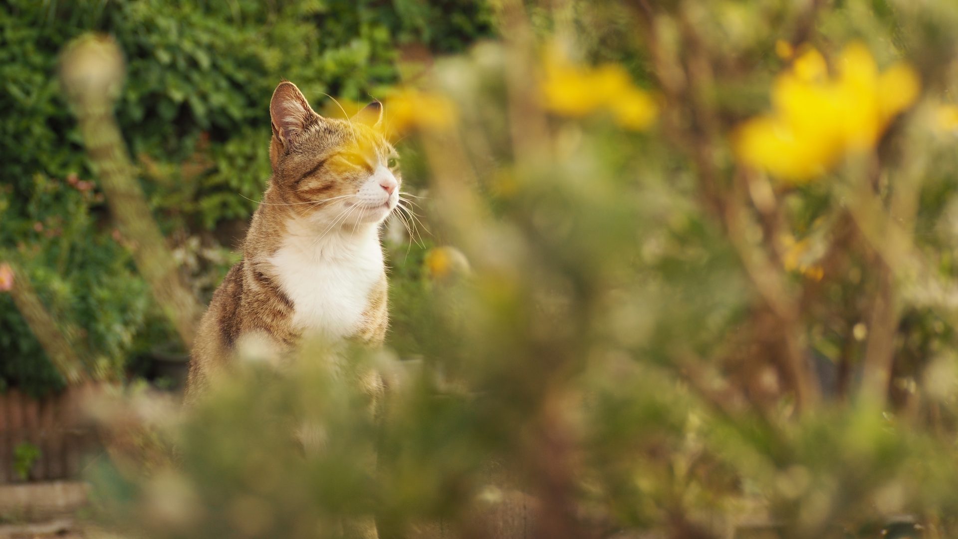 A peaceful moment outdoors