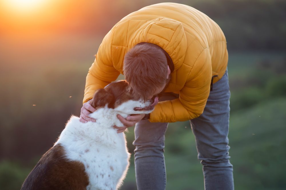 A person tenderly greeting their dog at sunset