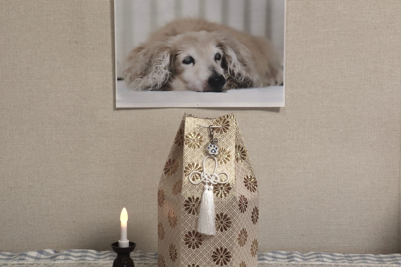 A soft, blanket-lined basket for gentle aftercare