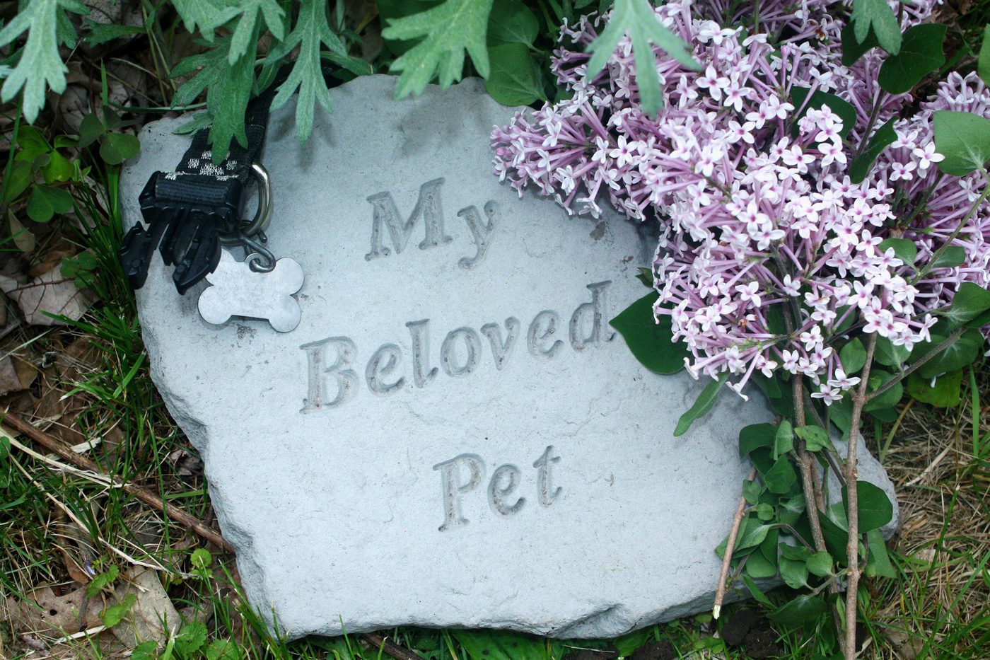 A peaceful outdoor memorial setting
